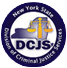 Division of Criminal Justice Services